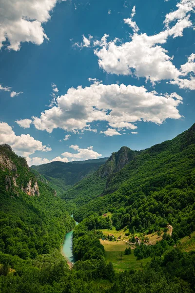 Tara Canyon Bela Vista Das Montanhas Verdes Céu Azul Rio — Fotografia de Stock