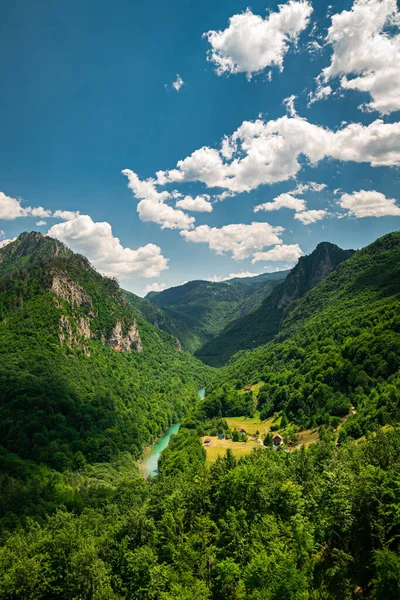 Kanion Tara Piękny Widok Zielone Góry Niesamowita Fotografia Wnętrza Spokojnym — Zdjęcie stockowe