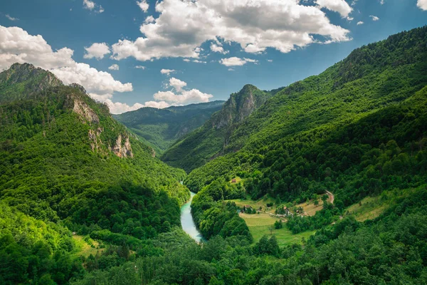Kanion Tara Piękny Widok Zielone Góry Niesamowita Fotografia Wnętrza Spokojnym — Zdjęcie stockowe
