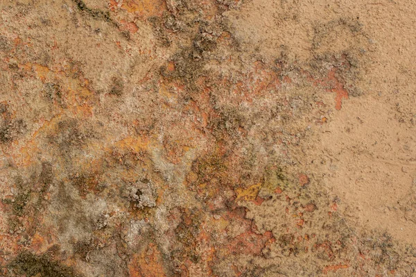 Die Wand Ist Durch Feuchtigkeit Beschädigt Schimmel Moos Schlechte Lebensbedingungen — Stockfoto