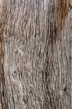 Eski ahşap arka plan dokusu. Eski püskü tahta, rahatlama ve telafuz yakın çekim