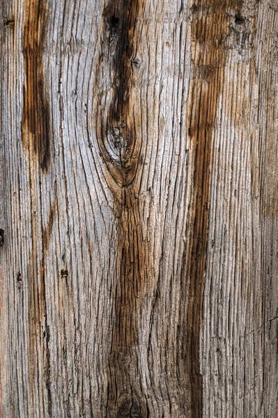 Old Wood Background Texture Old Shabby Board Relief Pronounced Drawing — Stock Photo, Image