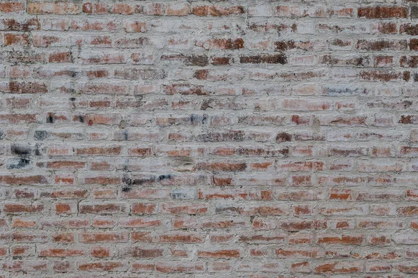 Стара Цегляна Стіна Історичного Будинку Іноді Носять Цеглу Сліди Корозії — стокове фото