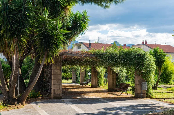 Small Garden Italian Province South Beautiful Arches Fresh Flowers Comfort — Stock Photo, Image