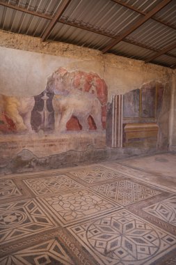3 Temmuz 2022 - Pompeii, İtalya. Antik şehir. Yıkılan evlerin duvarlarında antik freskler, antika sanat eserleri, evin zengin dekorasyonu. Avrupa 'nın tarihi yerlerinde yürür