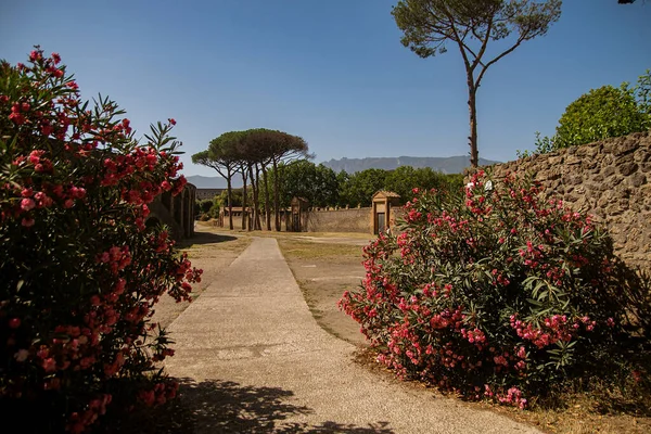 Archaeological Park Pompeii Huge Excavation Area Vicinity Vesuvius Southern Italy — Stock Photo, Image