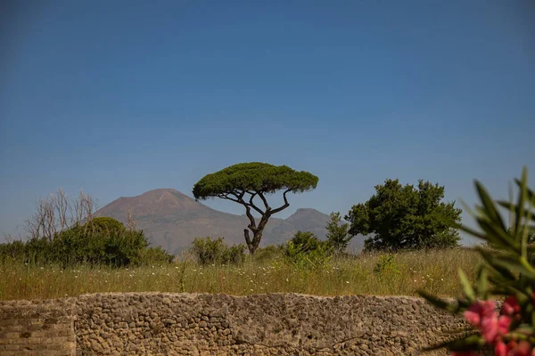 Archaeological Park Pompeii Huge Excavation Area Vicinity Vesuvius Southern Italy — Stock Photo, Image