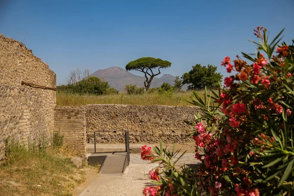 Archaeological Park Pompeii Huge Excavation Area Vicinity Vesuvius Southern Italy — Stock Photo, Image