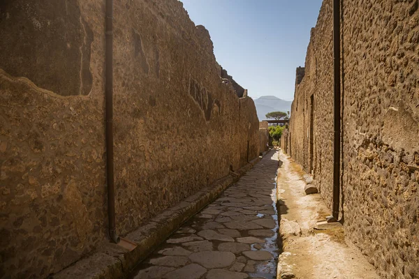 Archaeological Park Pompeii Huge Excavation Area Vicinity Vesuvius Southern Italy — Stock Photo, Image