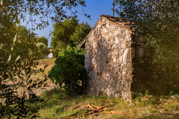Old Stone Srai House Farming Tools Olive Trees Vineyards Summer — 图库照片