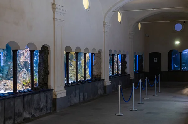 Interior Museum Hall Large Exhibits Showcases Naples Aquarium Anton Dorn — Stok Foto