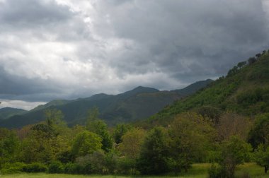 Beautiful Italian landscape - a village in the mountains. Canopies of trees and needles at sunset in cloudy weather, pleasant light mist in the air, spring.