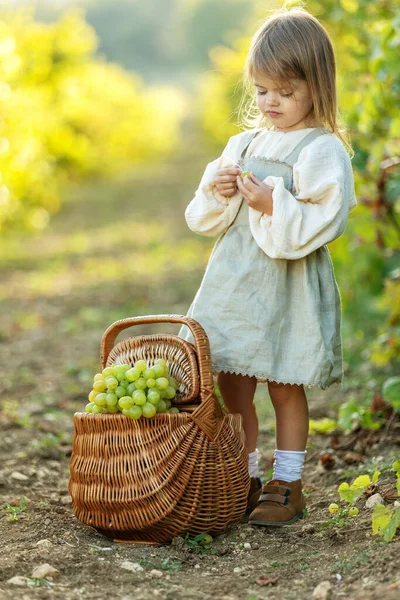 Üzümlü güzel bir kız. Meyveli çocuk. — Stok fotoğraf