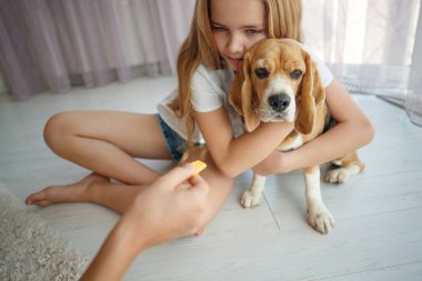 Köpeğini ve kedini besle..