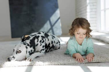 Köpekli bir çocuk. Mutlu bir kız Dalmaçyalı bir köpekle halıda yatıyor..