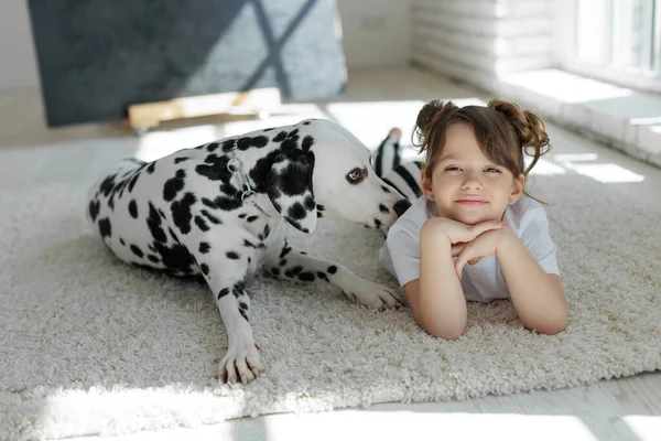 Köpekli bir çocuk. Mutlu bir kız Dalmaçyalı bir köpekle halıda yatıyor..