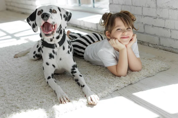 Köpekli bir çocuk. Mutlu bir kız Dalmaçyalı bir köpekle halıda yatıyor..