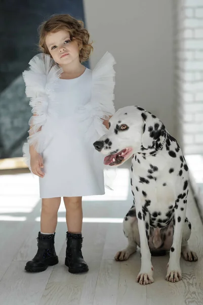 Niños de moda. Niña con un perro posando en ropa de moda. — Foto de Stock