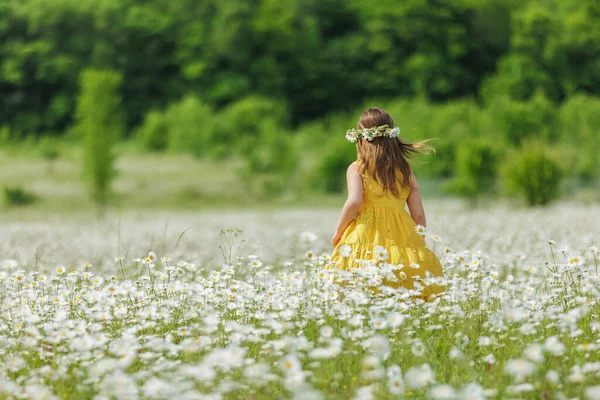 Happy Girl Field Flowers High Quality Photo — Stock Photo, Image