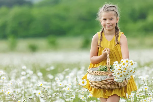 Gelukkig Meisje Het Veld Met Bloemen Hoge Kwaliteit Foto — Stockfoto
