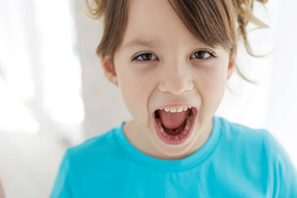 The child has lost a tooth. Little girl without a tooth. The first tooth fell out. High quality photo