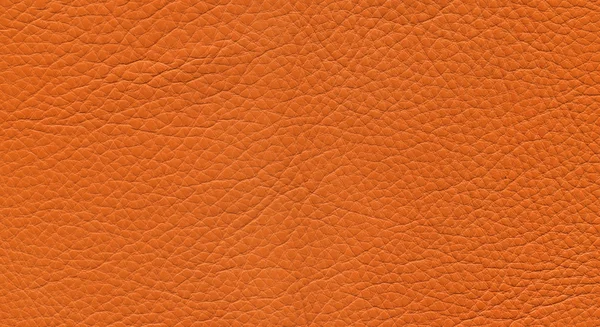 Cuir orange — Photo