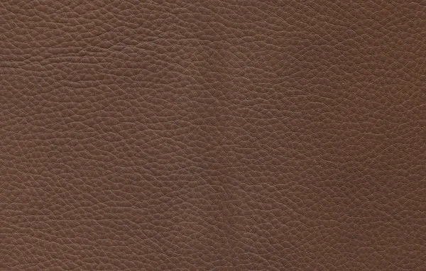 Textura de cuero — Foto de Stock