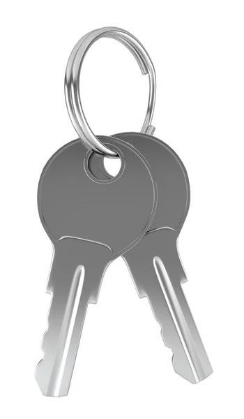 Two keys on a ring — Stock Photo, Image