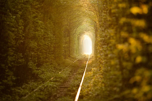 Túnel verde . —  Fotos de Stock