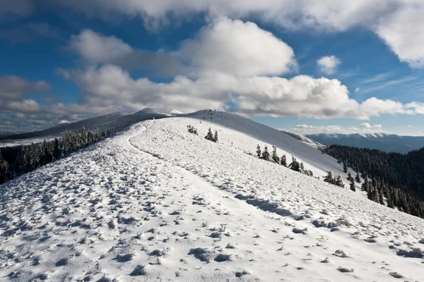 Winterlandschaft. — Stockfoto