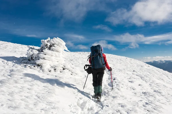 Wandelen in de winter mountain. — Stockfoto