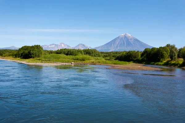 Vulkanen koryaksy och floden avacha på Kamtjatka. — Stockfoto