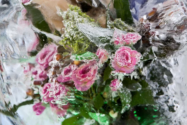 Flores congeladas . — Foto de Stock