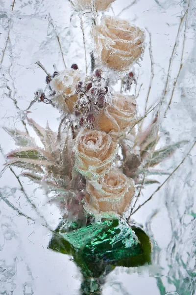 Frozen flowers. — Stock Photo, Image
