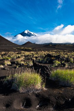 Kamçatka manzarası.