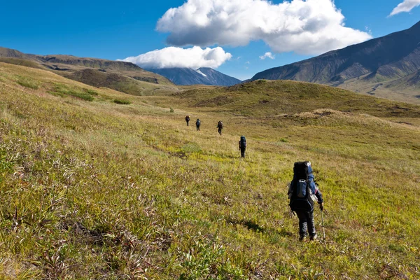Kamçatka üzerinde trekking.