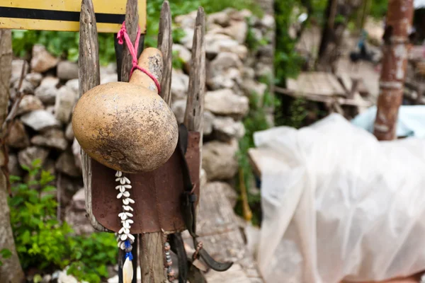 Trockener Kürbis. — Stockfoto