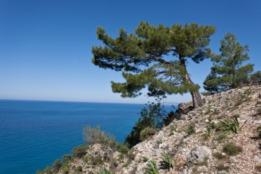 deniz manzara.