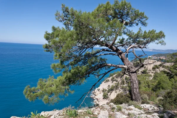 Paesaggio marino . — Foto Stock