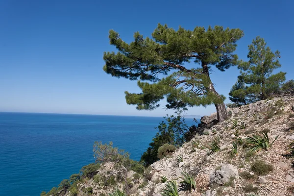 Paesaggio marino . — Foto Stock