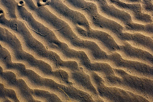 砂背景. — 图库照片