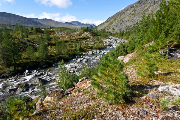 Paesaggio selvaggio nelle montagne degli Urali . — Foto Stock