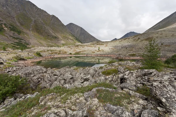 Berglandschaft. — Stockfoto