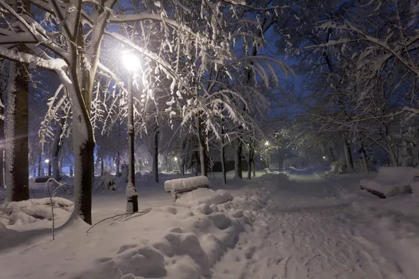 Parque cubierto de nieve por la noche . — Foto de Stock
