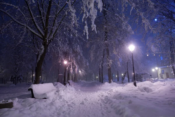 Парк, покрытый снегом ночью . — стоковое фото