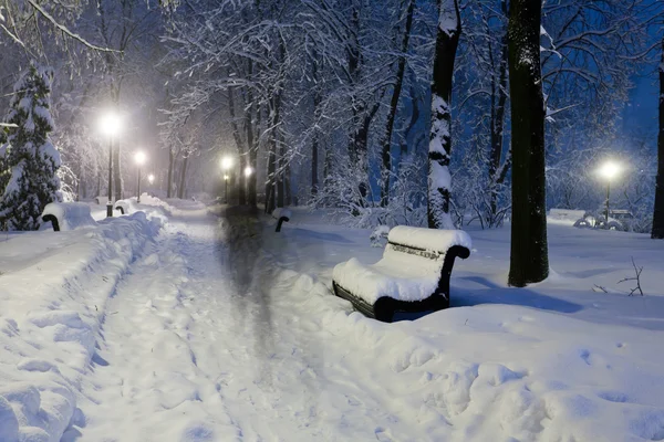 Park in der Nacht mit Schnee bedeckt. — Stockfoto