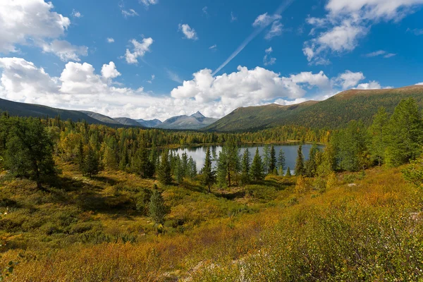 Paysage sauvage dans les montagnes d'Oural . — Photo