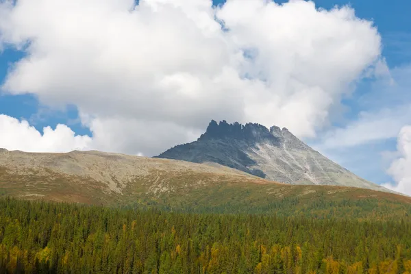 Berglandschaft. — Stockfoto