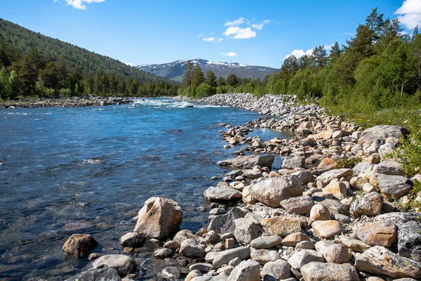 Fjord landskap. — Stockfoto