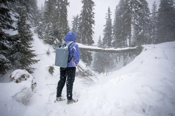 Donna Nella Foresta Invernale Escursionismo Nella Neve Con Zaino Giacca — Foto Stock